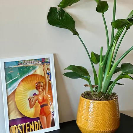 Appartement By Aimee - 20m From The & In Centre!