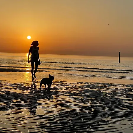 דירה By Aimee - 20m From The & In Centre! *