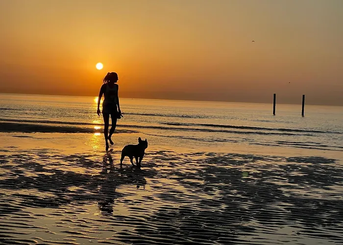 Apartamento By Aimee - 20m From The & In Centre! *